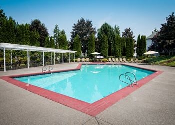 Pool & sundeck